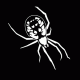 Spider 1